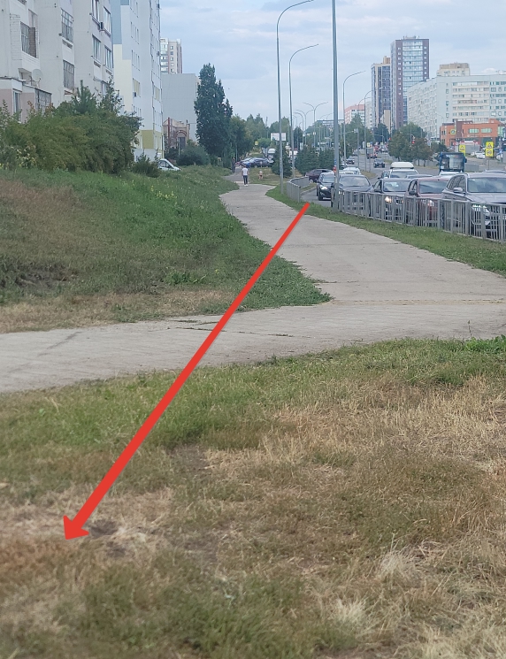 &#1042; &#1053;&#1072;&#1073;&#1077;&#1088;&#1077;&#1078;&#1085;&#1099;&#1093; &#1063;&#1077;&#1083;&#1085;&#1072;&#1093; Infiniti QX50 &#1089;&#1085;&#1105;&#1089; &#1086;&#1075;&#1088;&#1072;&#1078;&#1076;&#1077;&#1085;&#1080;&#1077;, &#1074;&#1088;&#1077;&#1079;&#1072;&#1083;&#1089;&#1103; &#1074; &#1089;&#1090;&#1086;&#1083;&#1073; &#1080; &#1087;&#1077;&#1088;&#1077;&#1074;&#1077;&#1088;&#1085;&#1091;&#1083;&#1089;&#1103;