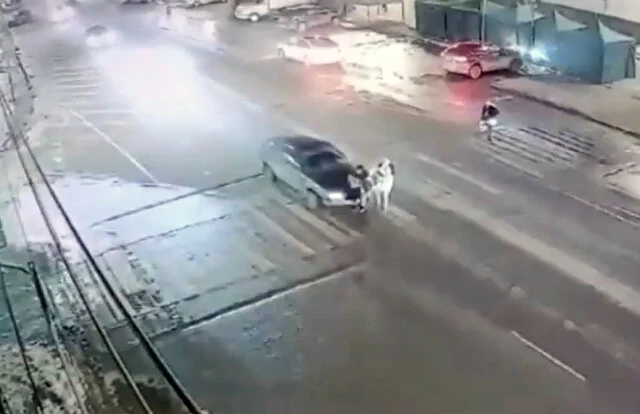  В Волгограде водитель сбил женщину с ребенком и скрылся