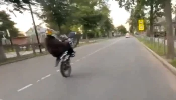  В Новой Ладоге подросток на питбайке столкнулся с автомобилем и пытался скрыться