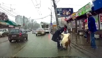  «Закрыл двери и начал движение»: в Самаре женщина упала, пытаясь сесть в автобус