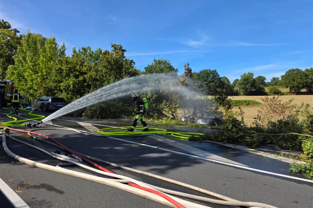 &#1042; &#1043;&#1077;&#1088;&#1084;&#1072;&#1085;&#1080;&#1080; &#1074;&#1086;&#1076;&#1080;&#1090;&#1077;&#1083;&#1100; &#1080; &#1076;&#1074;&#1086;&#1077; &#1076;&#1077;&#1090;&#1077;&#1081; &#1087;&#1086;&#1075;&#1080;&#1073;&#1083;&#1080; &#1074; &amp;#171;&#1058;&#1077;&#1089;&#1083;&#1077;&amp;#187; &#1080;&#1079;-&#1079;&#1072; &#1079;&#1072;&#1073;&#1083;&#1086;&#1082;&#1080;&#1088;&#1086;&#1074;&#1072;&#1085;&#1085;&#1099;&#1093; &#1088;&#1091;&#1095;&#1077;&#1082; &#1076;&#1074;&#1077;&#1088;&#1077;&#1081;