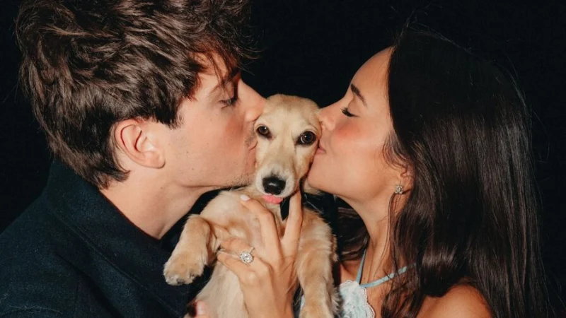 Квят и Хэмилтон отреагировали на помолвку Леклера