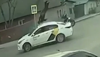  Байкер исполнил сальто, перелетев через машину в Новосибирске